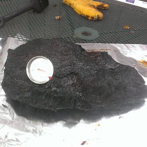 11.14 Brisket.6.jpg