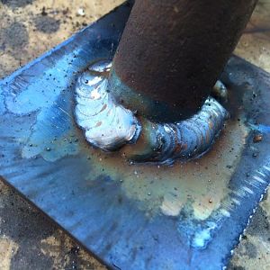 12310632_10156345384795078_2586629782126802612_n.j