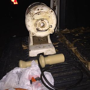 image.jpeg