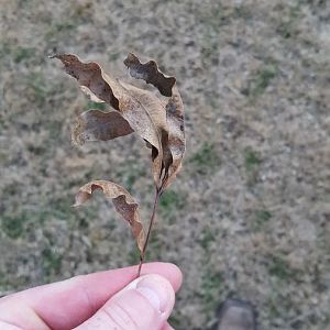 20151209_165511.jpg