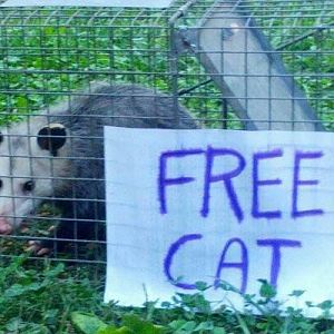 oh_yeah_that_totally_seems_legit_32_photos0_142126