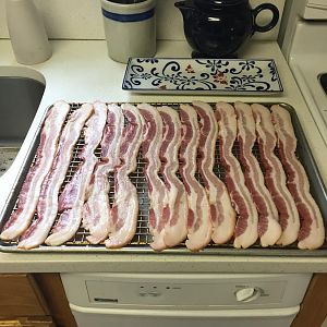 IMG_0666.jpg