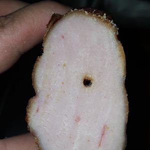 20151212_181359.jpg