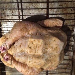 IMG_0028.JPG