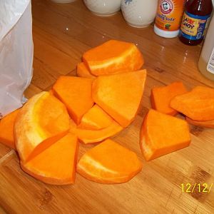 100_3353.JPG