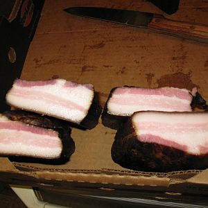 IMG_0347.JPG