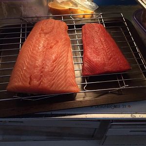 IMG_1081[1].JPG