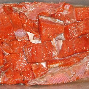 SOCKEYE 12-31-15 2.jpg