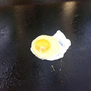 image.jpeg
