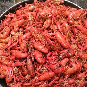 crawfish.jpg