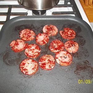 100_3523.JPG