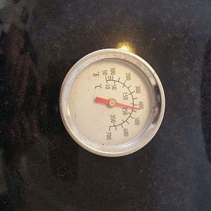 never trust dome thermometer.jpg