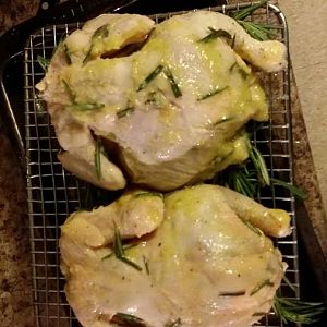 cornishhens6.jpg