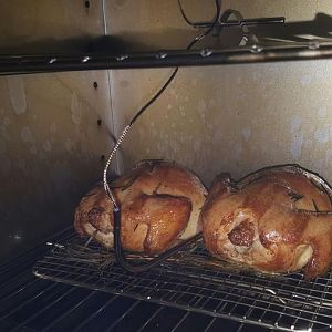 cornishhens3.jpg
