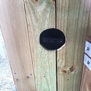 10157282_10207526590176074_6068732832486420422_n.j