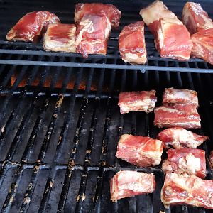 Rib Tips 04.jpg