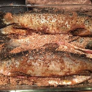 brined trout.JPG