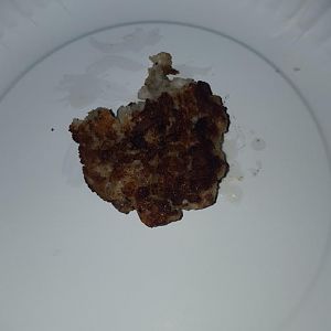 20160117_181249.jpg