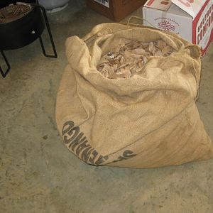 chips 003.JPG
