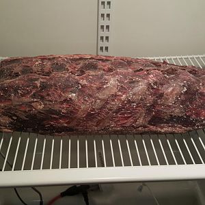 20160124_213441.jpg