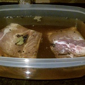 swimming in brine.jpg