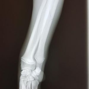 20160127_134108.jpg
