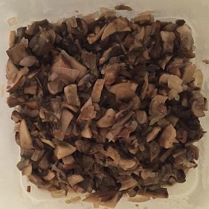 onion mushroom.JPG