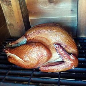 smoking turkey.jpg