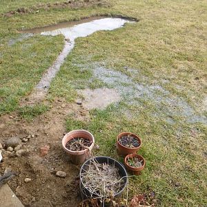 2_inch_rain.jpg