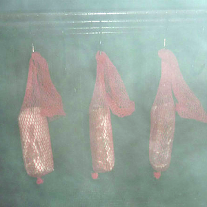 Lonzino in the smokehouse 2 11-12-14.jpg