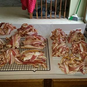20160207_121315_resized.jpg