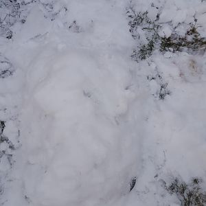 20160207_165416.jpg