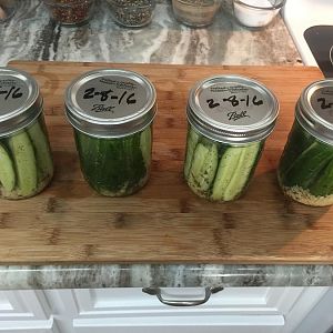2-8-16 11.JPG