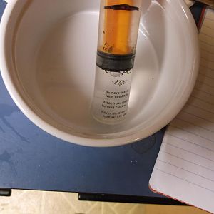DSCF2454.JPG