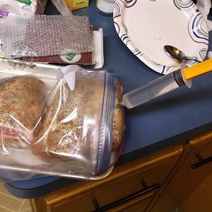 DSCF2455.JPG