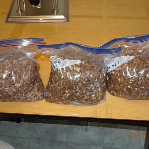 DSC02079_zpsxi0qjgja.jpg