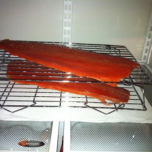 Sockeye drying.JPG