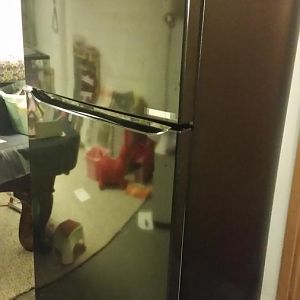 20160118_174958_zpscx8oiqsl.jpg