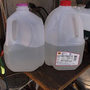 Maple sap 001.JPG