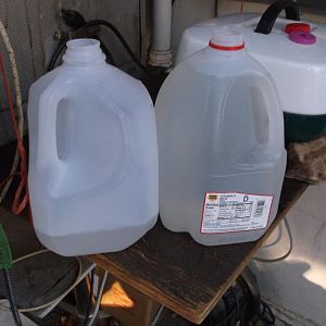 Maple sap 004.JPG