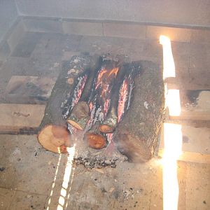 fire 002.JPG