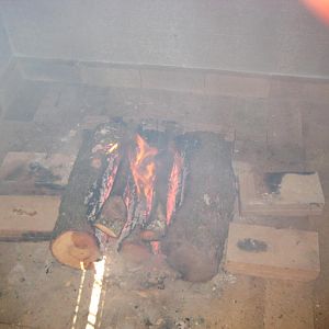 fire 003.JPG