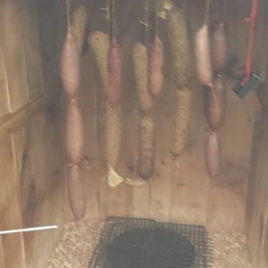 20160228_161135.jpg