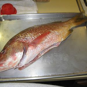 IMG_6709.JPG