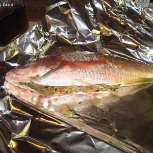 IMG_6716.JPG
