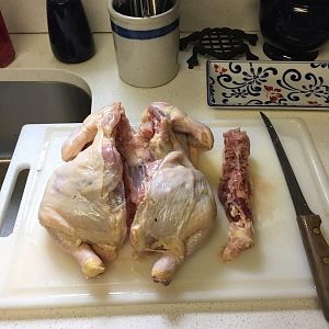IMG_0783.jpg