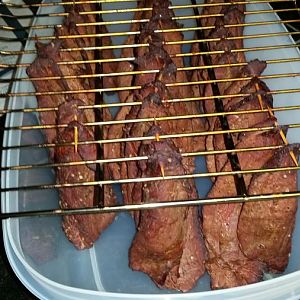 20160306_110234.jpg