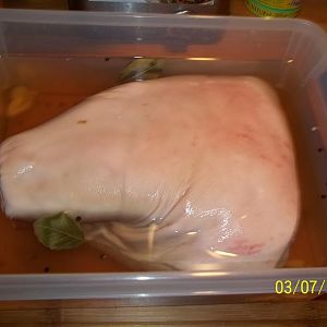 100_3760.JPG