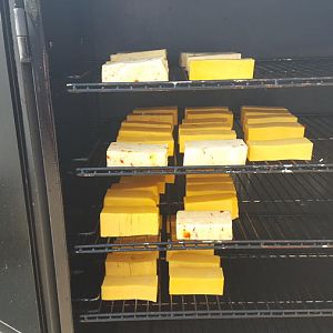 20160308_113448.jpg