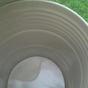 Lid Open.jpg